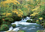 山涧小溪