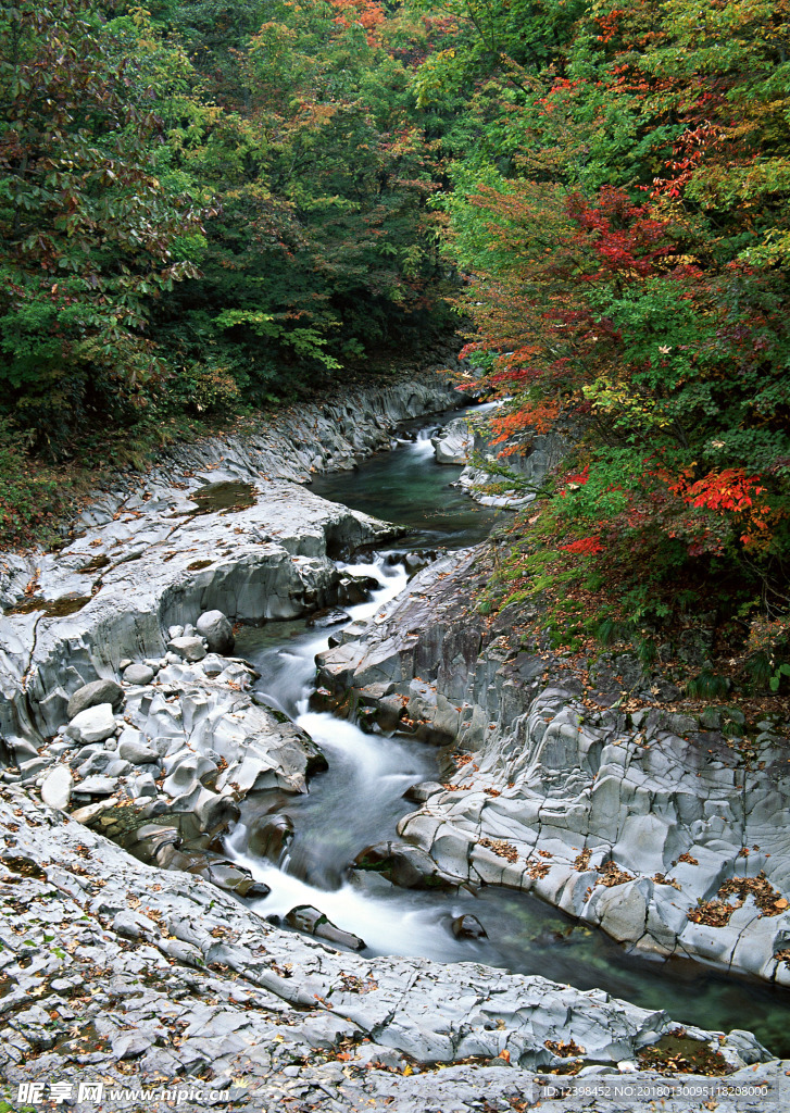 山涧小溪 山涧溪流 溪水 河流