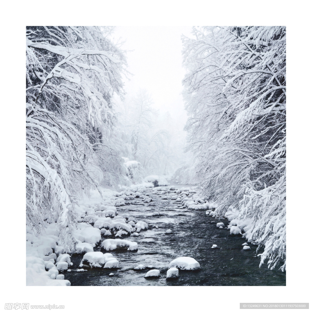 雪树