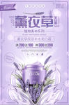 薰衣草植物美白霜化妆品海报