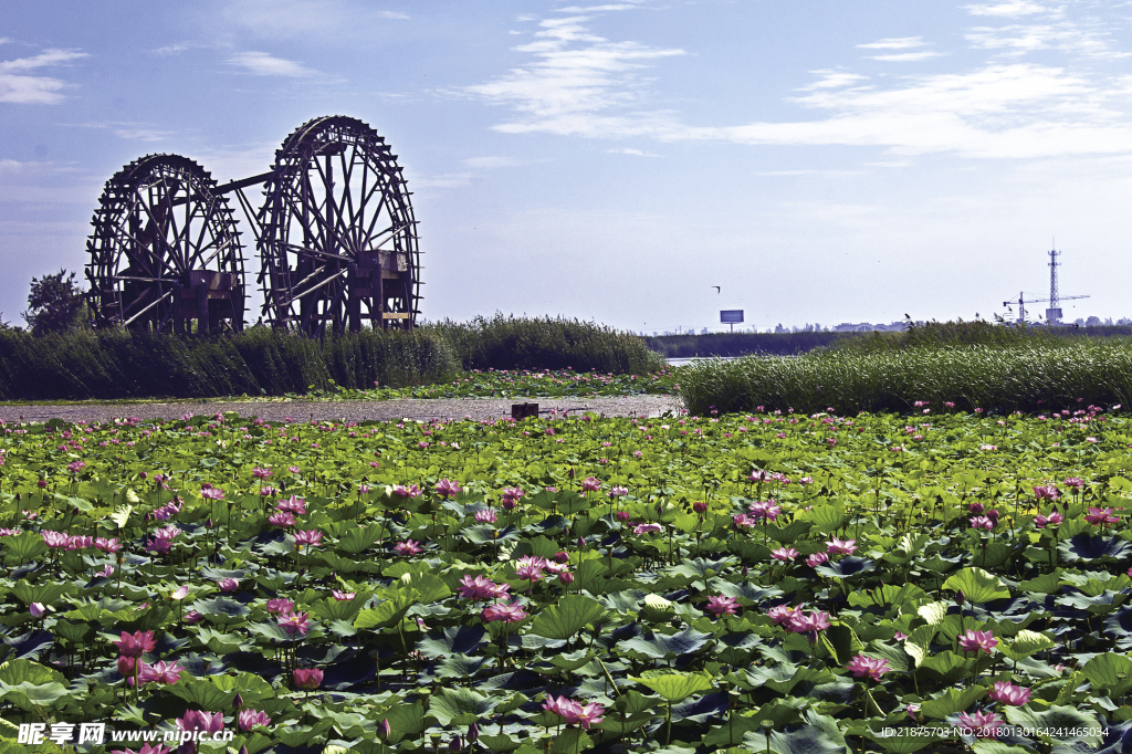 宁夏鸣翠湖