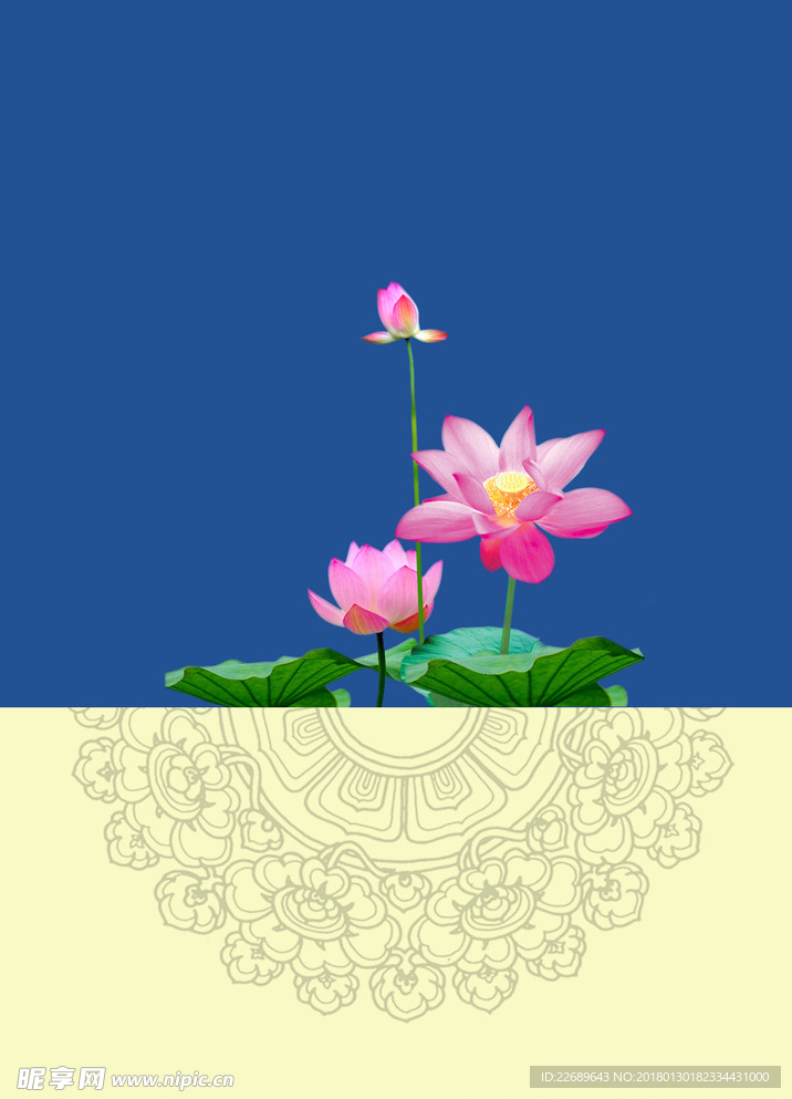荷花背景