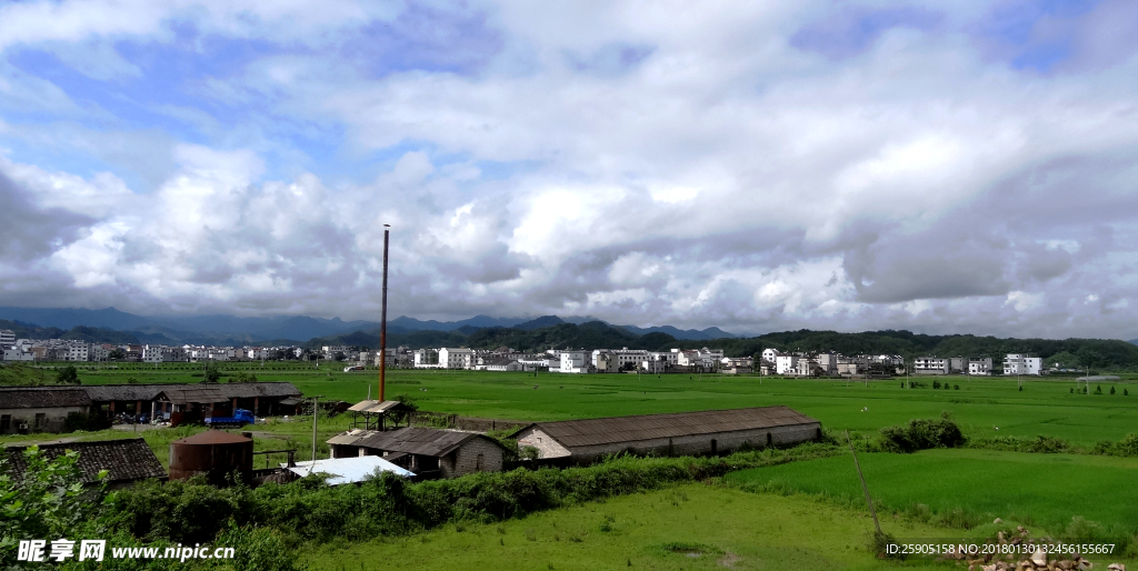阳光田野