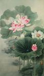 荷花