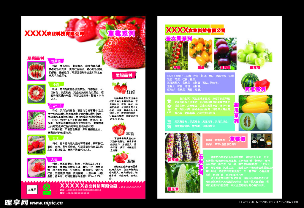 农业科技草莓水果宣传单