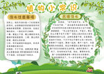 植物小报