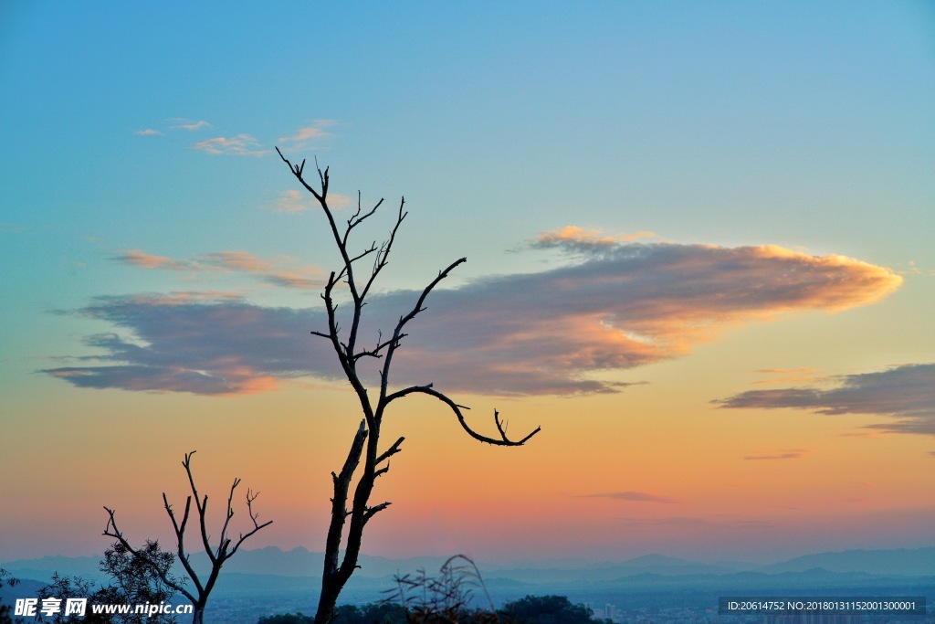 夕阳下的美景