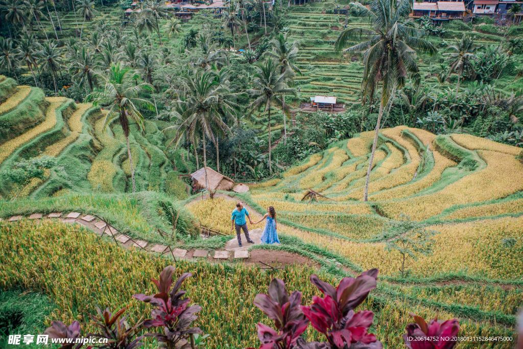 热带植物园