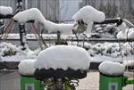 苏州雪景