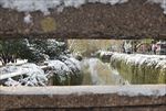 苏州雪景