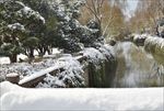 苏州雪景