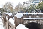 苏州雪景