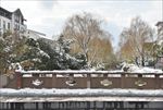 苏州雪景