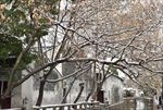 苏州雪景
