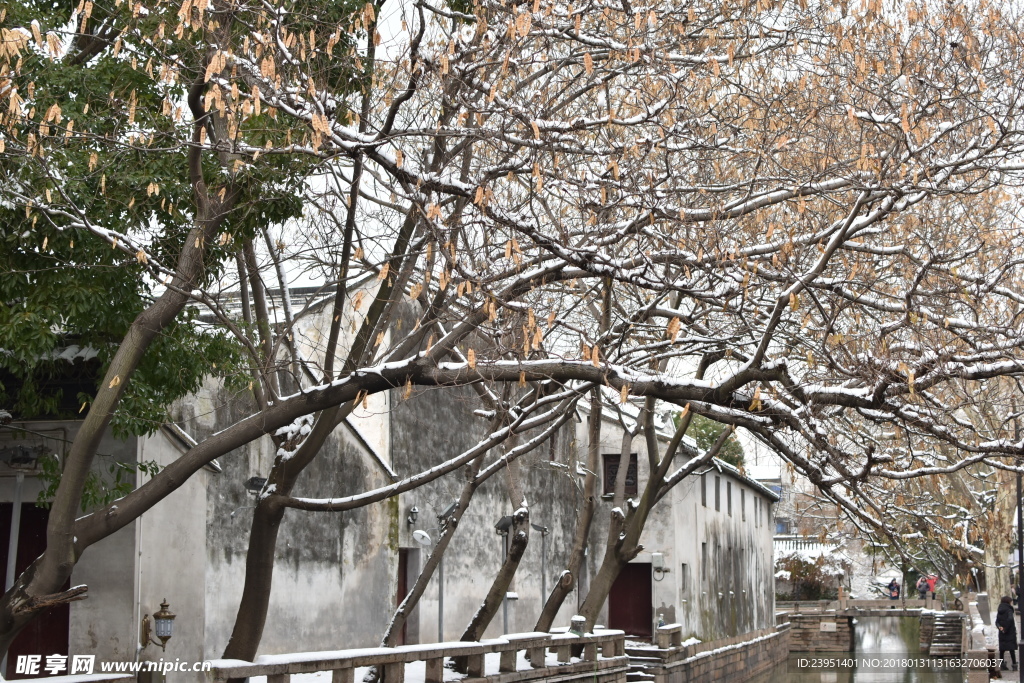 苏州雪景