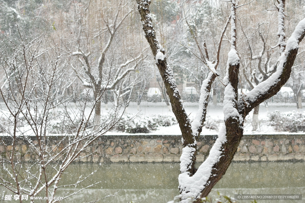 苏州雪景