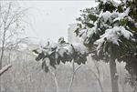 苏州雪景