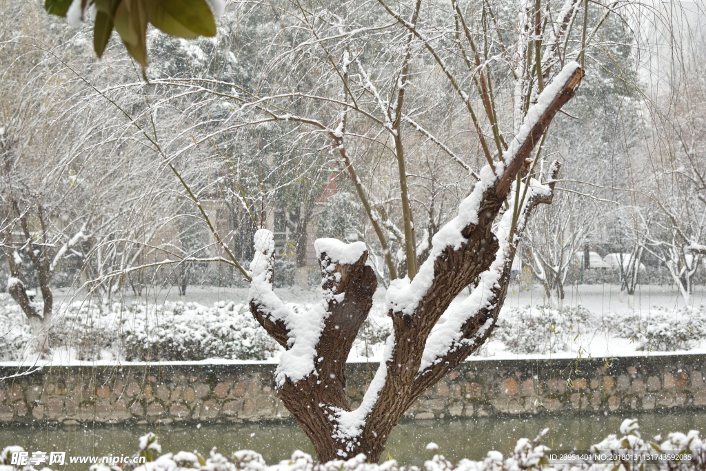 苏州雪景