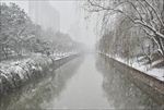 苏州雪景