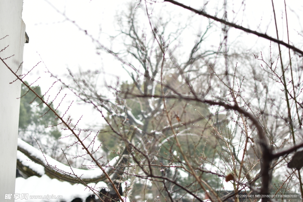 雪景