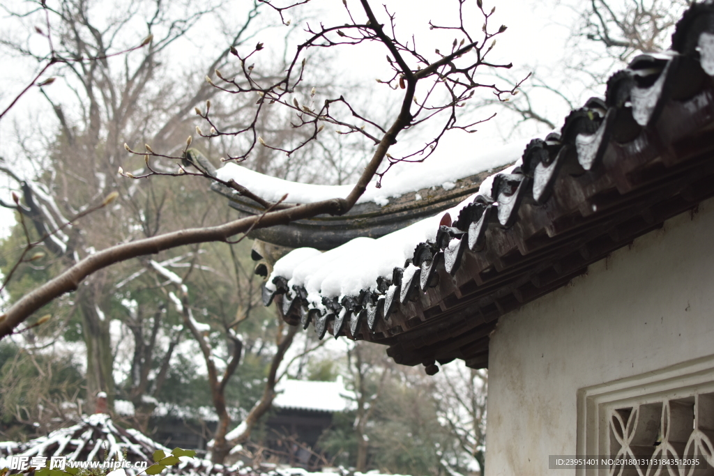 雪景