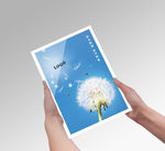 画册封面效果图