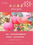 苹果海报