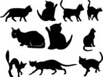 猫剪影