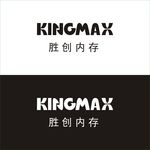 胜创内存标志