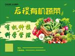 蔬菜海报设计