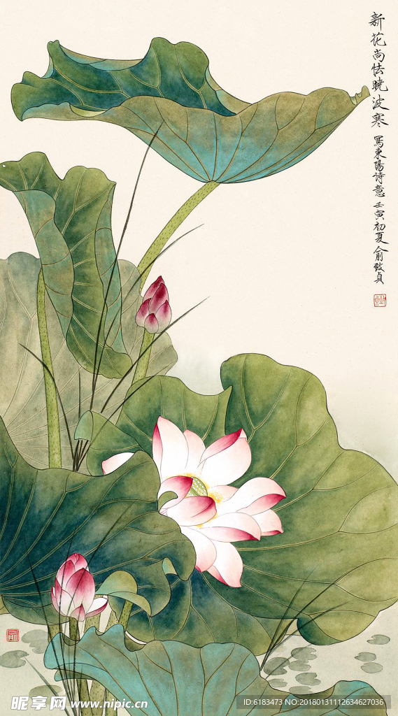 工笔画荷花