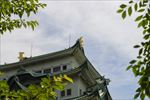 名古屋城堡