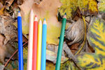 彩色铅笔 铅笔 文具 绘图笔