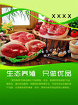 猪肉DM