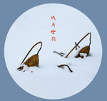 残荷雪韵