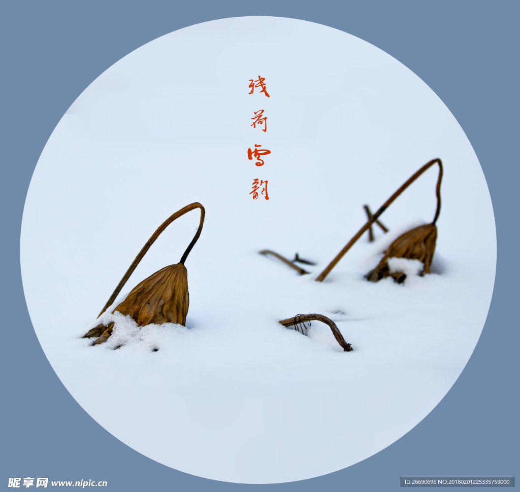 残荷雪韵