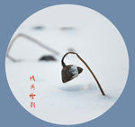残荷雪韵