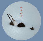 残荷雪韵