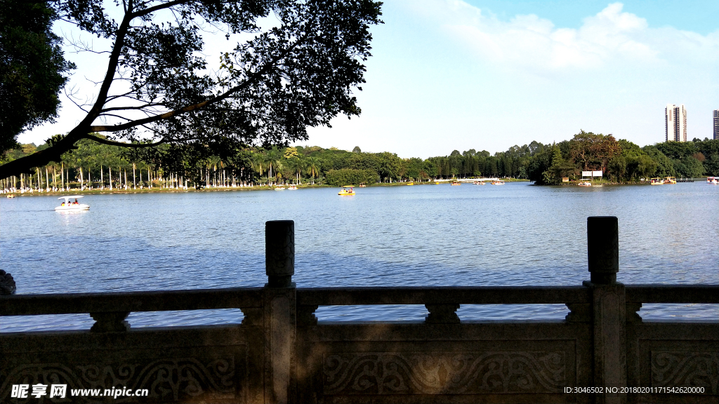 南方夏日湖水岸边风景拍摄