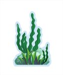 海底动植物
