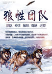 企业文化标语 挂图 员工励志图
