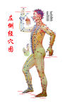 左视经穴图