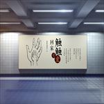 回家触触有爱