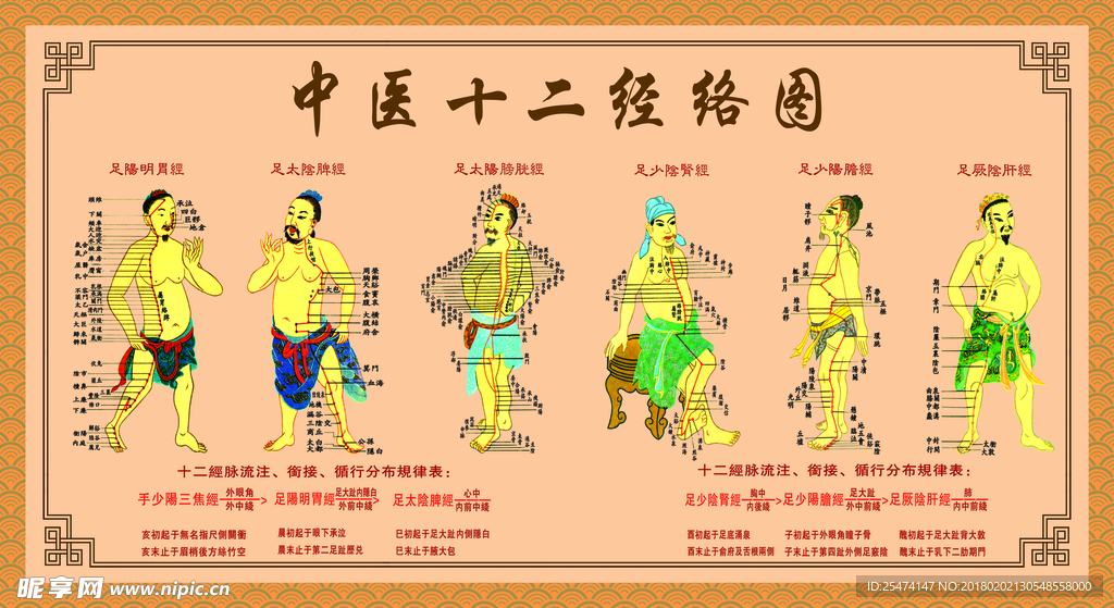 中医十二经络图