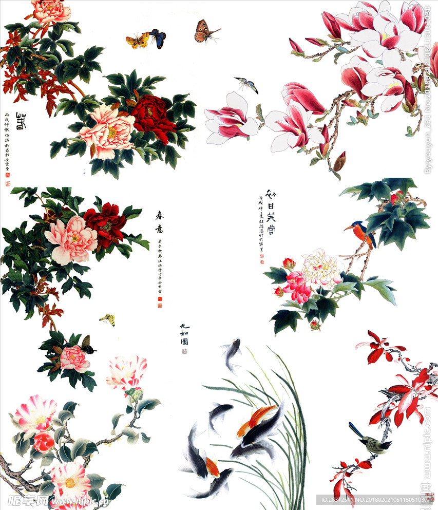 中国风工笔花鸟画