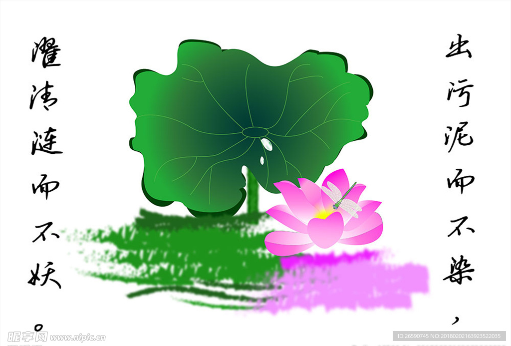 荷花