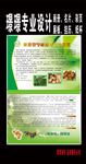 核桃专业合作社
