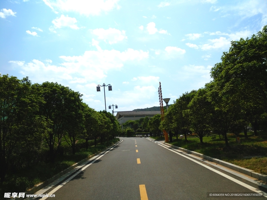 道路风景