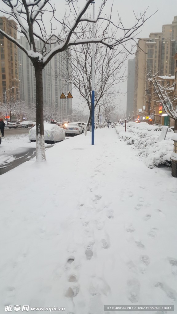 城市雪景