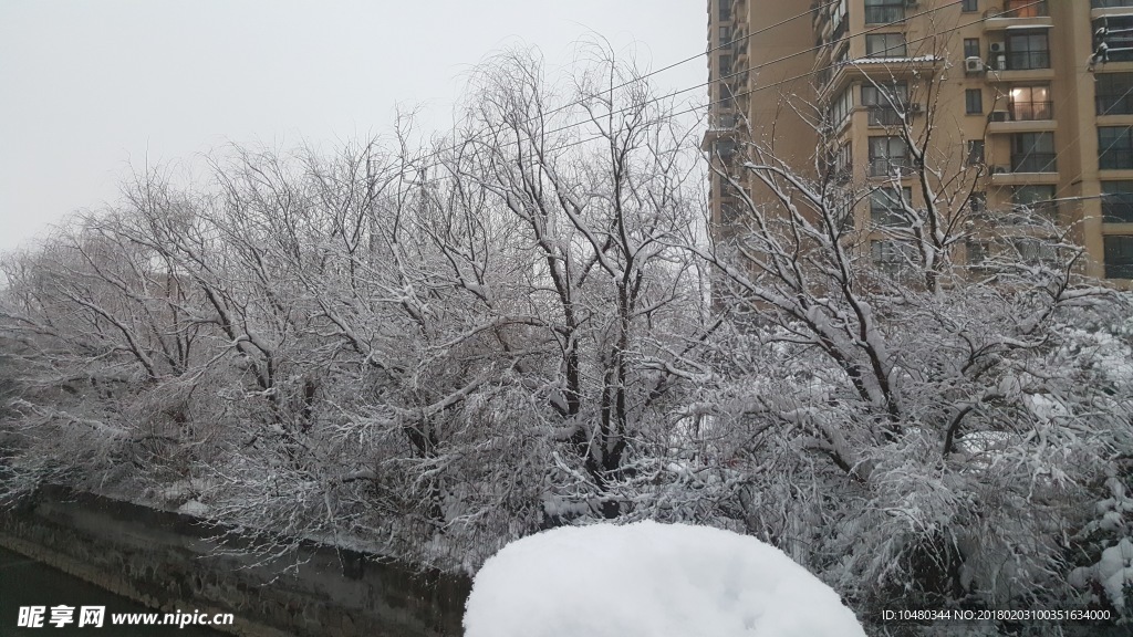 雪景